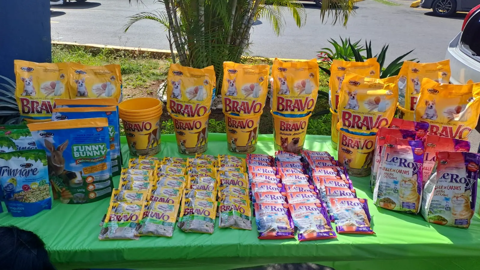 WhatsApp Image 2025-12-13 at 11.05.01